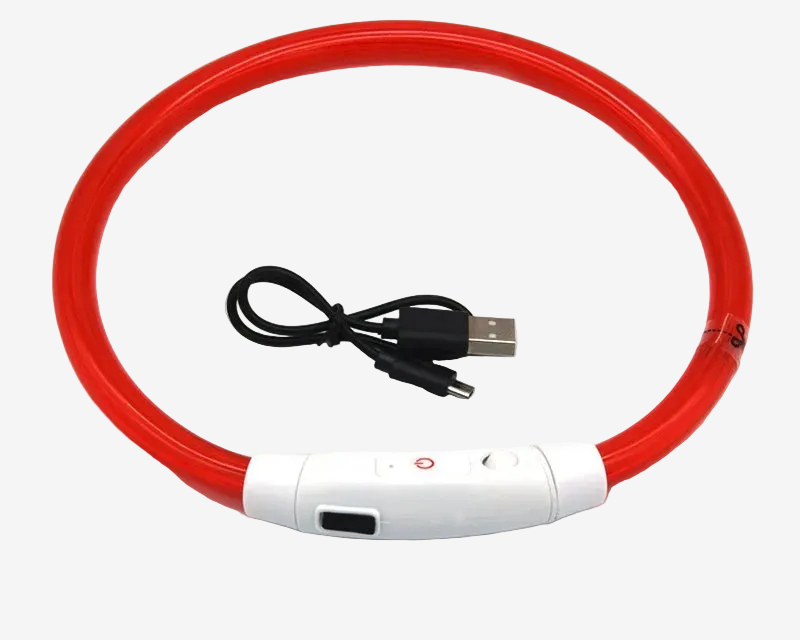 Rechargeable LED Dog Collar for Night Walks & Visibility