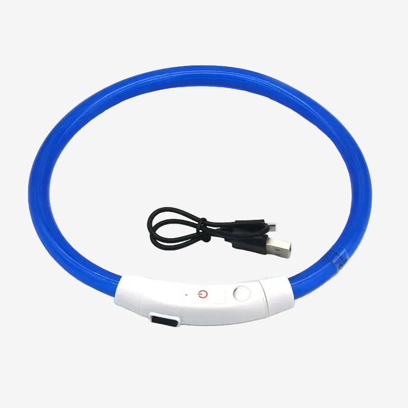Dog LED Collar for Walking at Night