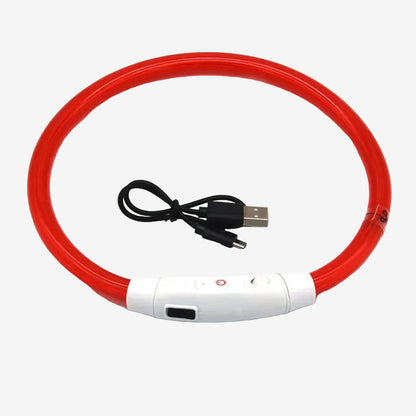 Dog LED Collar for Walking at Night