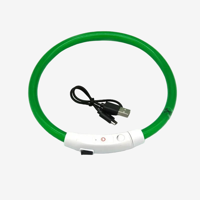 Dog LED Collar for Walking at Night
