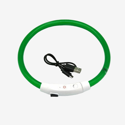 Dog LED Collar for Walking at Night